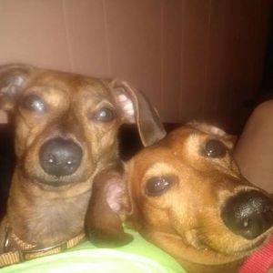 Meet your Posher, Sue